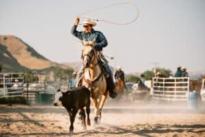 medical tourism: rodeo entertainment when getting orthopedic surgery in Meeker