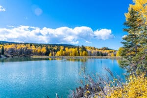 leaf peeping in Trapper's Lake near Meeker